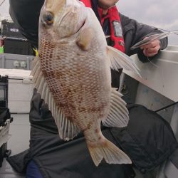 だて丸 釣果