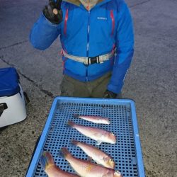 第三共栄丸 釣果