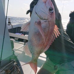 だて丸 釣果