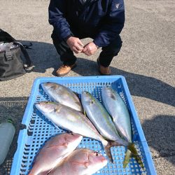 第三共栄丸 釣果