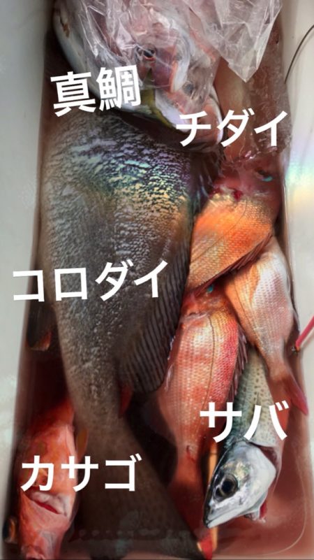 龍神丸(鹿児島) 釣果