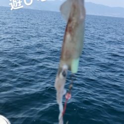 龍神丸(鹿児島) 釣果