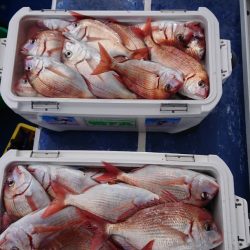 金沢八景鴨下丸 釣果