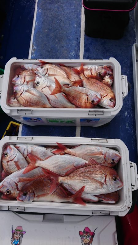 金沢八景鴨下丸 釣果