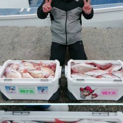 金沢八景鴨下丸 釣果