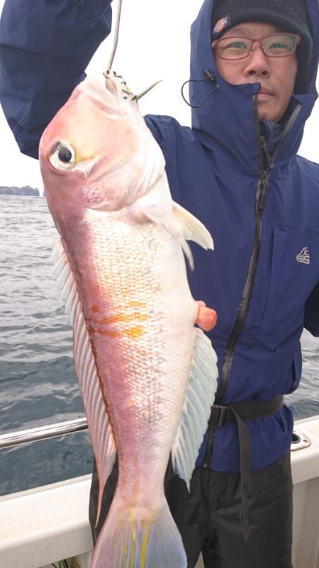 ARCADIAⅡ (アルカディアⅡ) 釣果