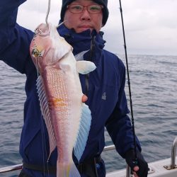 ARCADIAⅡ (アルカディアⅡ) 釣果