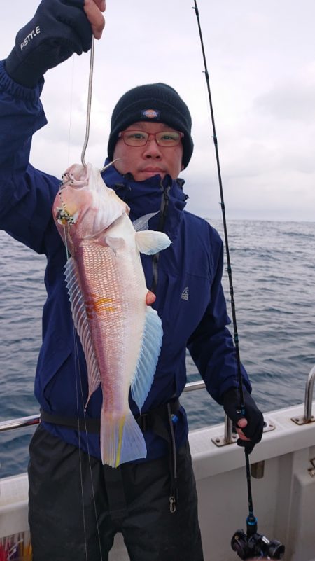 ARCADIAⅡ (アルカディアⅡ) 釣果