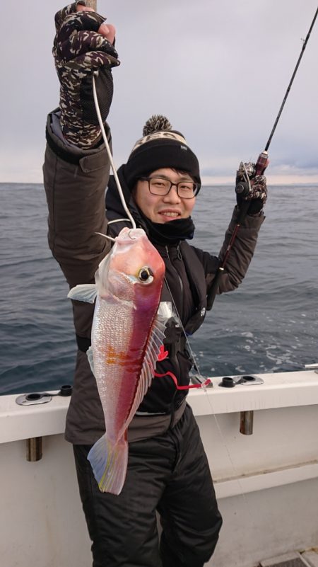 ARCADIAⅡ (アルカディアⅡ) 釣果