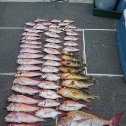 ARCADIAⅡ (アルカディアⅡ) 釣果