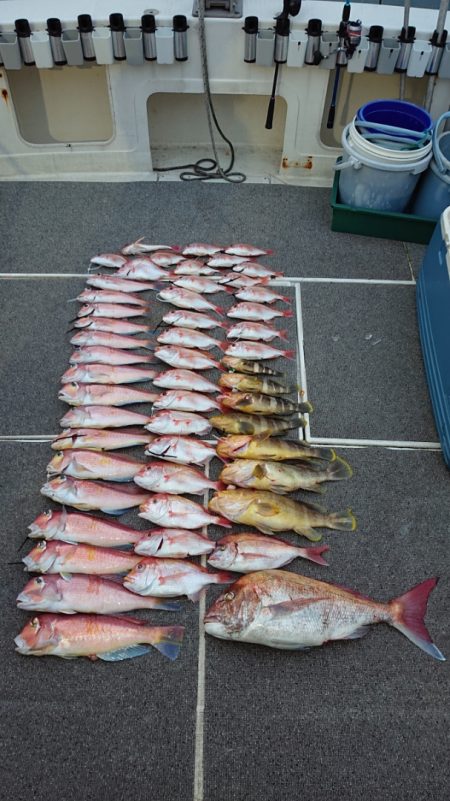 ARCADIAⅡ (アルカディアⅡ) 釣果