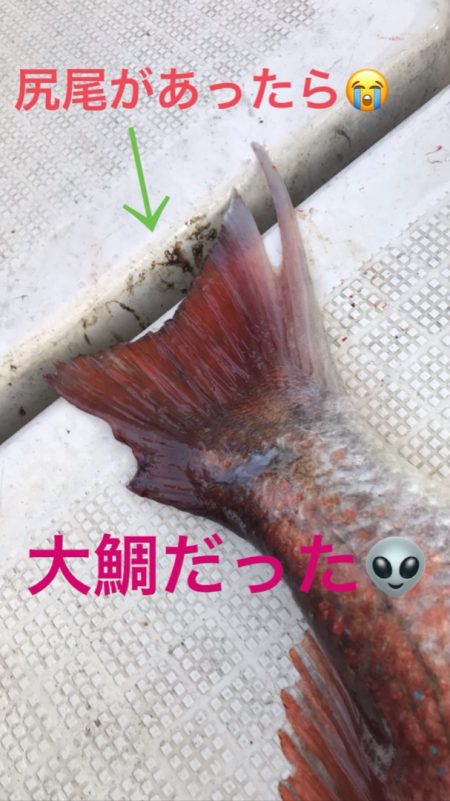 龍神丸(鹿児島) 釣果