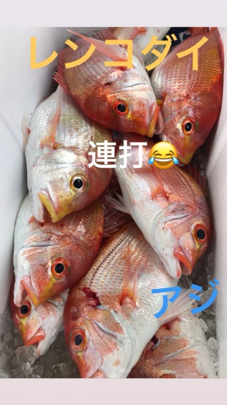 龍神丸(鹿児島) 釣果