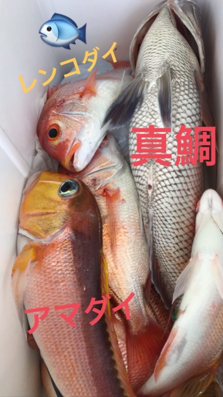 龍神丸(鹿児島) 釣果