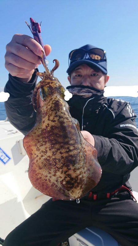 きずなまりん 釣果
