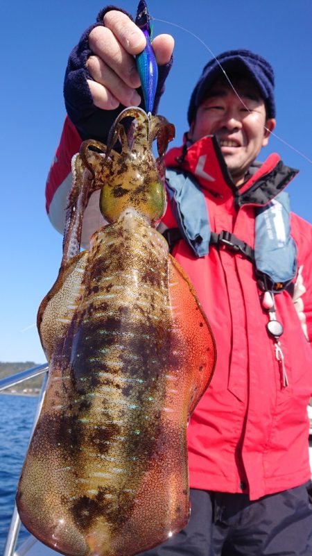 シースナイパー海龍 釣果