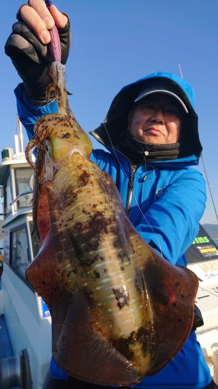 シースナイパー海龍 釣果