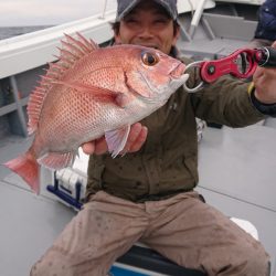 だて丸 釣果