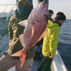 だて丸 釣果