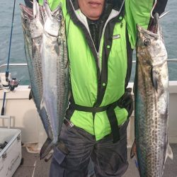 ARCADIAⅡ (アルカディアⅡ) 釣果