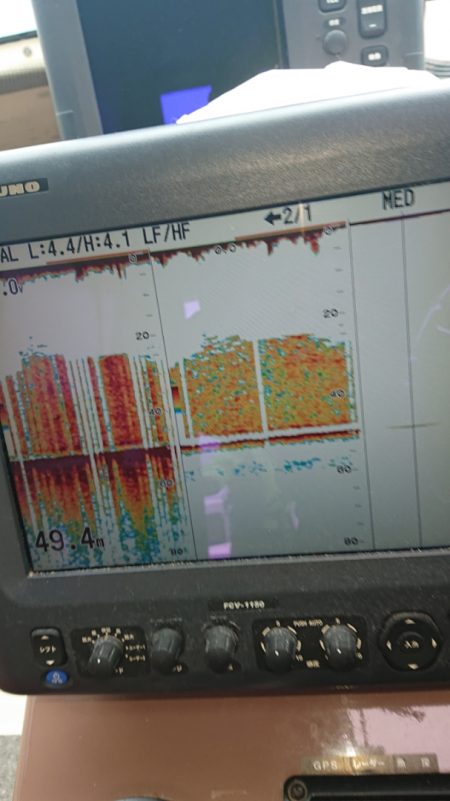 ARCADIAⅡ (アルカディアⅡ) 釣果