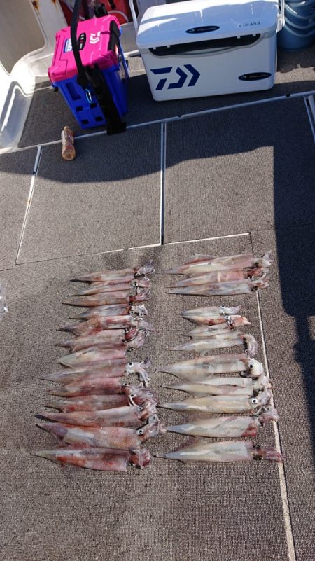 ARCADIAⅡ (アルカディアⅡ) 釣果