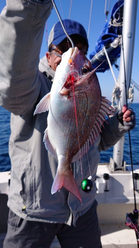 ARCADIAⅡ (アルカディアⅡ) 釣果