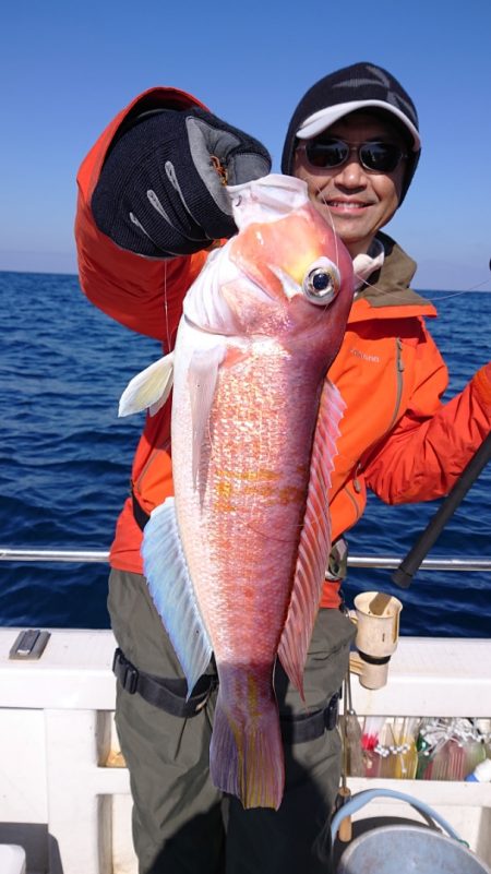 ARCADIAⅡ (アルカディアⅡ) 釣果