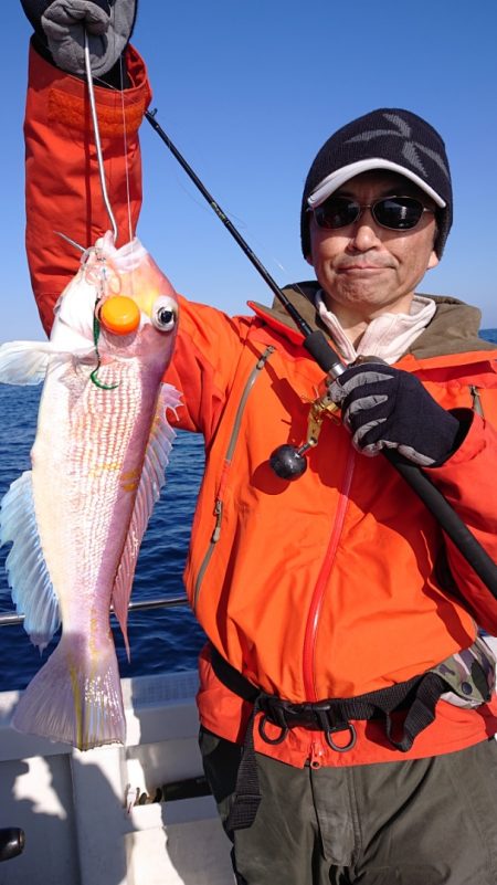 ARCADIAⅡ (アルカディアⅡ) 釣果