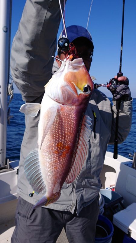 ARCADIAⅡ (アルカディアⅡ) 釣果