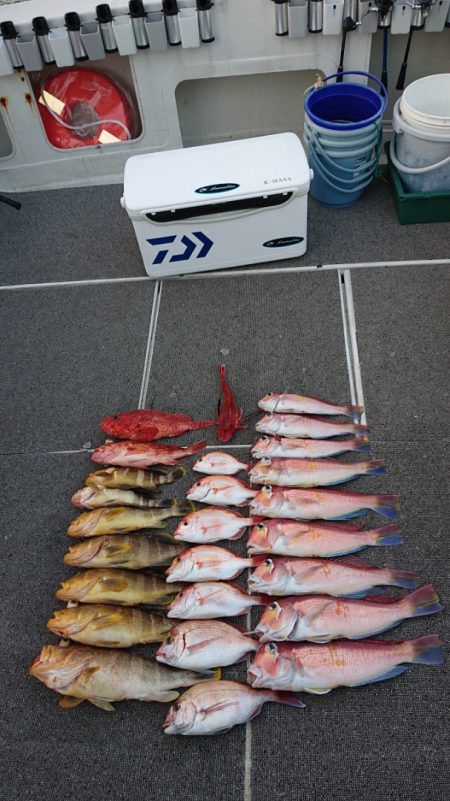 ARCADIAⅡ (アルカディアⅡ) 釣果