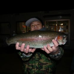 としまえんフィッシングエリア 釣果