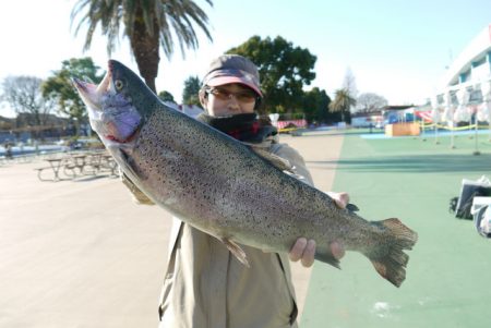 としまえんフィッシングエリア 釣果