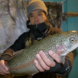 としまえんフィッシングエリア 釣果