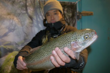 としまえんフィッシングエリア 釣果