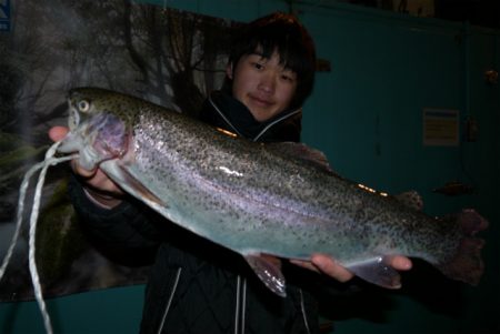 としまえんフィッシングエリア 釣果