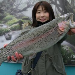 としまえんフィッシングエリア 釣果