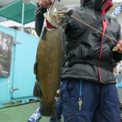 としまえんフィッシングエリア 釣果