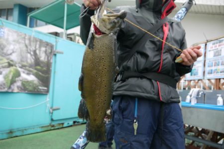 としまえんフィッシングエリア 釣果