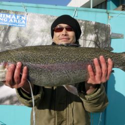 としまえんフィッシングエリア 釣果
