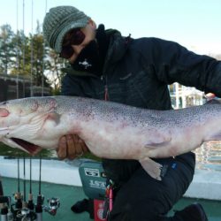 としまえんフィッシングエリア 釣果