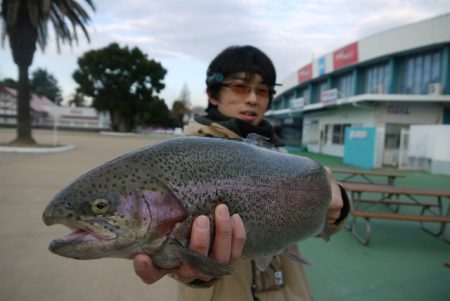 としまえんフィッシングエリア 釣果