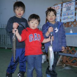 としまえんフィッシングエリア 釣果