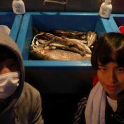 としまえんフィッシングエリア 釣果