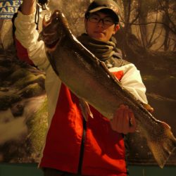 としまえんフィッシングエリア 釣果