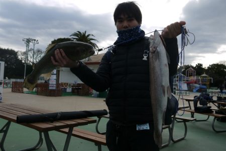 としまえんフィッシングエリア 釣果