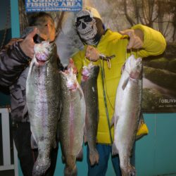 としまえんフィッシングエリア 釣果