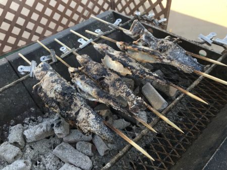 としまえんフィッシングエリア 釣果