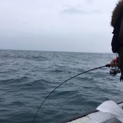 金栄丸 釣果