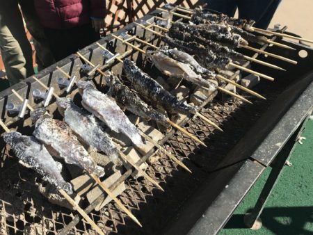 としまえんフィッシングエリア 釣果